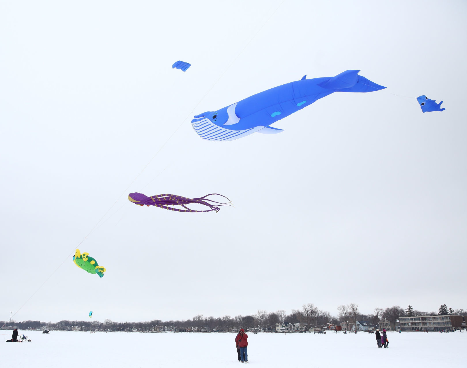 Color the Wind 19